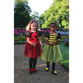 Ladybird Dressing up Fancy dress outfit 3-5 years