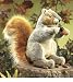 Plush Gray Squirrel Puppet 12"