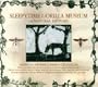 Sleepytime Gorilla Museum