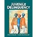 Juvenile Delinquency (5th Edition)