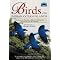 Birds (Indian Ocean & Islands)