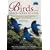 Chamberlain's Guide to Birds of the Indian Ocean Islands