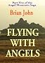 Flying with Angels (Vol 5 of the Angel Mountain Saga)