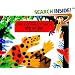 The Leopard's Drum (Dual Language)