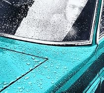 Peter Gabriel