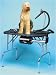 Pet Supplies : Air Force Stowaway