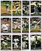 2006 Topps Series 2 CHICAGO WHITE SOX baseball cards team set (Thome)