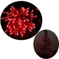 33ft/10m Holiday String Lights (Can be connected to 100m), 100 LED Red