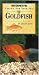 Caring for Your Pet Goldfish