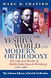 Between the Yeshiva World and Modern Orthodoxy: The Life and Works of Rabbi Jehiel Jacob Weinberg, 1884-1966 (1874774919) by Shapiro, Marc B.