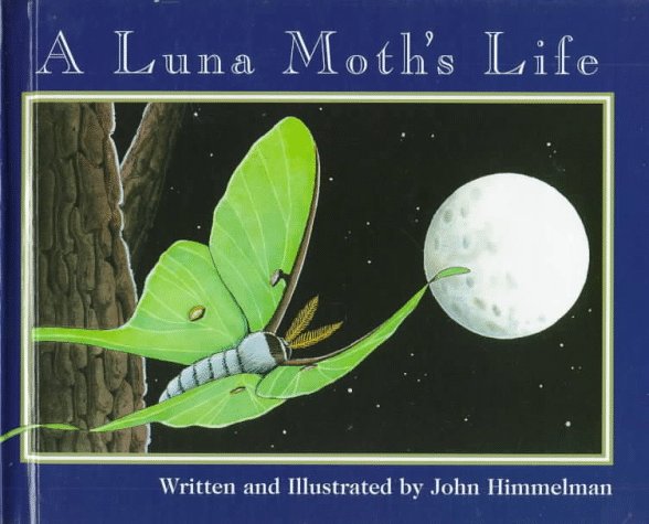 A Luna Moth's Life (Nature Upclose)