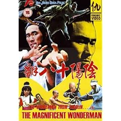 The Magnificent Wonderman [DVD]