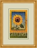 "Sunflower" by Thomas LaDuke - Framed Artwork