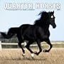 Quarter Horses 2004 Calendar
