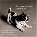 I Am Puppy, Hear Me Yap: The Ages of Dog