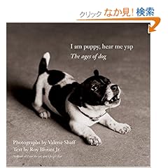 【クリックでお店のこの商品のページへ】I Am Puppy, Hear Me Yap: The Ages of Dog: Valerie Shaff, Roy, Jr. Blount: 洋書