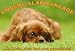 Metall - Warnschild Cavalier King Charles Spaniel ruby