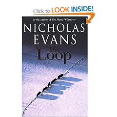 The Loop