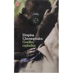 Gorilles orphelins