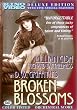 Broken Blossoms [Import USA Zone 1]