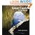 Great Caves of the World