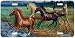 Thunder Run - Horse Art Print - License Plate by Randy McGovern from Airstrike, Inc.