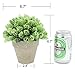 Velener Artificial Provence Flowers Arrangements in Pots for Home Decor (Green)