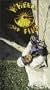 Wheels of Fire [VHS]