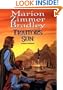 Traitor's Sun (Daw Book Collectors)