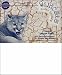 Book Cougars Combined Lesson Plans / Adventure Journals for New Cougars Add-On Pack