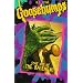 Goosebumps: Stay Out of Basement [VHS]