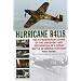 Hurricane R4118: The Extraordinary Story of the Discovery and Restoration of a Great Battle of Britain Survivor