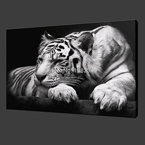 Hot Sellnewmodern Wall Painting Animal Black and White Tiger Paint on Canvas Prints Home Decorative Art Picture 20*24inch