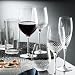 Pinzon Rumba Stemware Collection