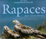Rapaces : Aigles, faucons, busards...