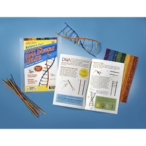 Wikki Stix DNA Double Helix Kit
