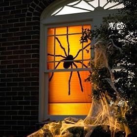 Black Widow Window