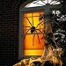 Black Widow Window