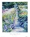 Iris Path by Linda Lee Fine Art Print / Poster 5.00 x 7.00 in.