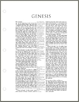 Loose-Leaf Bible-NASB-Wide Margin Pages Only: Hendrickson Bibles: 9781565637603: Amazon.com: Books