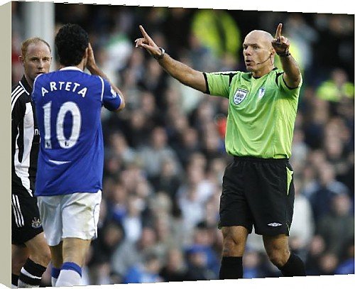 Box Canvas Print of Football - Everton v Newcastle United - Barclays Premier from Everton ePhoto