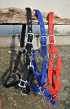 Horseone Nylonhalfter Softline mit Leder weich unterlegt