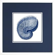 Shells on White A Wall Art - 18x18"