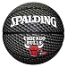 Sports : Teamball "CHICAGO BULLS"