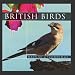 British Birds