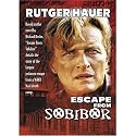 Escape From Sobibor [DVD] [1987] [Region 1] [US Import] [NTSC]