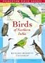 Birds of Northern India (Princeton Field Guides)