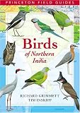 Birds of Northern India