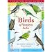 Birds of Northern India (Princeton Field Guides)