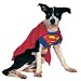Superman Dog Costume (Large)